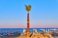 Larnaka, Cyprus - 8 August 2018: Palm trees in Cyprus Larnaca on Royalty Free Stock Photo