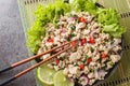 Larp or Laab gai or larb gai spicy salad breast chicken with herb closeup on the plate. Horizontal top view