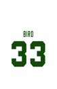 Larry Bird, Boston Celtics Jersey Back