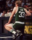 Larry Bird, Boston Celtics