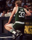 Larry Bird, Boston Celtics Royalty Free Stock Photo