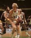 Larry Bird, Boston Celtics. Royalty Free Stock Photo