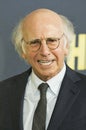 Larry David at NYC 9th Season Premiere of \'Curb Your Enthusiasm\' in NYC