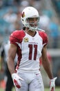 Larry Fitzgerald Arizona Cardinals Royalty Free Stock Photo