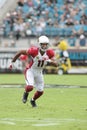 Larry Fitzgerald