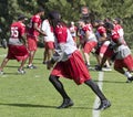 Larry Fitzgerald at Cardinals training camp Royalty Free Stock Photo