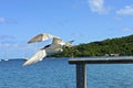 Larus delawarensis