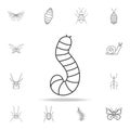 larva icon. Detailed set of insects line illustrations. Premium quality graphic design icon. One of the collection icons for websi