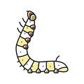 larvae silkworm color icon vector illustration