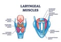 Laryngeal muscles anatomy with medical muscular structure outline diagram