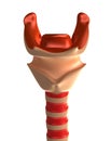 Larynx with trachea. Front view