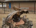 `Las Brisas` by Sandy Scott outside Edmond`s Pelican Bay Aquatic Center.