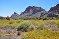 Las Canadas del Teide range Royalty Free Stock Photo