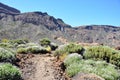 Las Canadas del Teide range Royalty Free Stock Photo