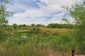 Las Lagunas de Anza Wetlands