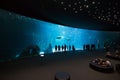 Las Palmas de Gran Canaria, Spain - December 28 2018: Visitors enjoy beautiful view of marine life in the biggest tank in Europe