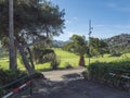 Las Palmas, Gran Canaria, Canary Islands, Spain December 16, 2020: View over green golf course of Real Club de Golf Las Royalty Free Stock Photo