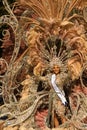 Las Palmas grand carnival procession