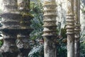 Las Pozas, a surrealist botanical garden in Xilitla Mexico by Edwa