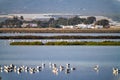 Las Salinas in Cabo de Gata Almeria. Flamingos lake in Spain Royalty Free Stock Photo