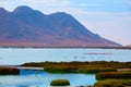 Las Salinas Cabo de Gata Almeria flamingos Spain Royalty Free Stock Photo