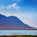 Las Salinas Cabo de Gata Almeria flamingos Spain Royalty Free Stock Photo