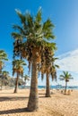 Las Teresitas beach, Tenerife, Canary Islands, Spain Royalty Free Stock Photo