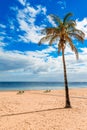 Las Teresitas, Tenerife,Canary islands,Spain: Las Teresitas beach and San Andres village