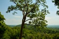 Las terrazas valley, Cuba