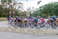 LAS TUNAS, CUBA - JAN 27, 2016: Group of cyclists is training at the road in Las Tunas Royalty Free Stock Photo