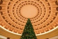 Tall Christmas tree reaching Luxury interior on a curved roof inside the
