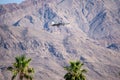 Las Vegas, Nevada / United States -  July 25, 2019: Nellis Air Force Base - F-22 Raptor landing during training Royalty Free Stock Photo