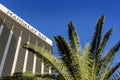 Las Vegas, Nevada/USA-03/22/2016 Mandalay Bay Casino and Hotel luxury resorts in Las Vegas, with a palm tree. Royalty Free Stock Photo