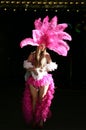 Las Vegas Showgirl Royalty Free Stock Photo