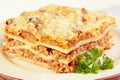 Lasagna Royalty Free Stock Photo