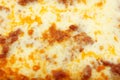 Lasagna Cassarole Texture Royalty Free Stock Photo