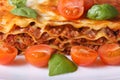 Lasagna with fresh basil and cherry tomatoes macro