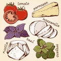 Lasagna ingredients cartoon set