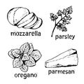 Lasagna ingredients illustration