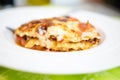 Lasagna portion Royalty Free Stock Photo