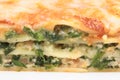 Lasagna ricotta and spinach Royalty Free Stock Photo