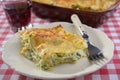 Lasagna with ricotta and spinach Royalty Free Stock Photo
