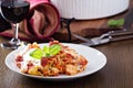 Lasagna rolls with tomato sauce Royalty Free Stock Photo