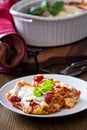 Lasagna rolls with tomato sauce Royalty Free Stock Photo