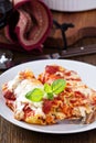 Lasagna rolls with tomato sauce Royalty Free Stock Photo