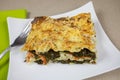 Lasagna with salmon and spinach Royalty Free Stock Photo