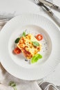 Lasagna with tomato and green leaf Royalty Free Stock Photo