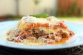 Lasagna white and bolognese sauce with parmesan cheese, pasta, tomato, basil, herbs, delicious food from Italian and French