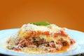 lasagna white and bolognese sauce with parmesan cheese, pasta, tomato, basil, herbs, delicious food from Italian and French