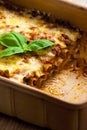 Lasagne Royalty Free Stock Photo